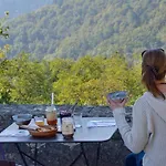 Chateau De Liviers * Lyas